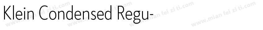 Klein Condensed Regu字体转换